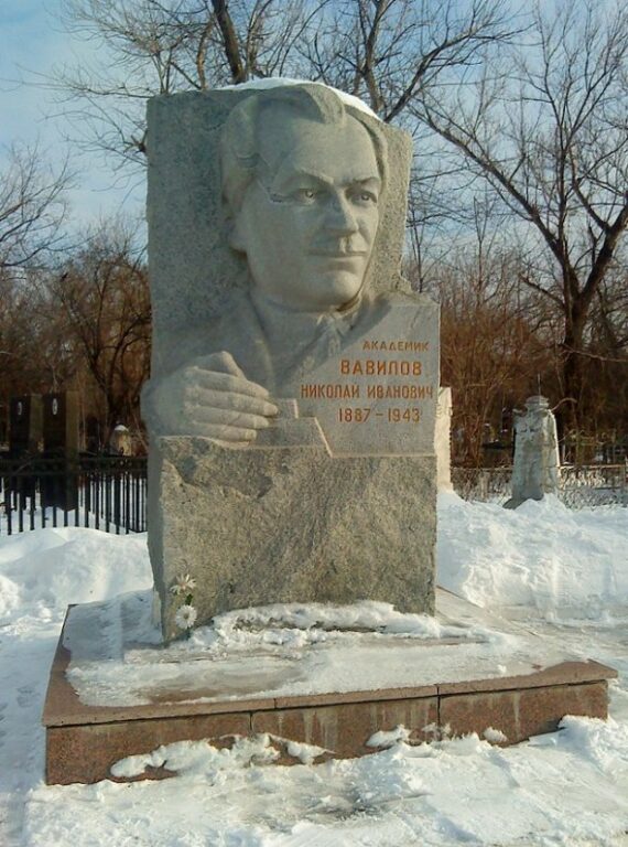 Памятник Николаю Вавилову